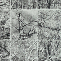 Tree Grid drawing